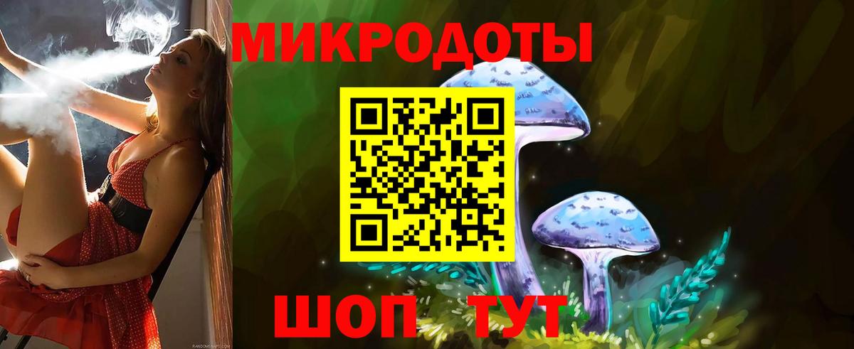 Псилоцибиновые грибы Psilocybine cubensis Калининград